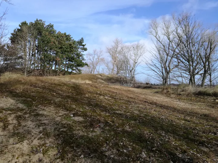 De Panne (België)